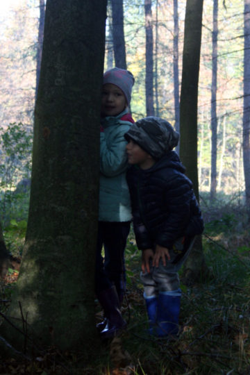 img_6584.jpg