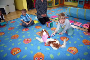 img_2049.jpg