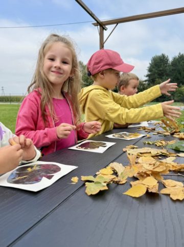 whatsapp image 2025-09-22 at 17.39.35.jpeg