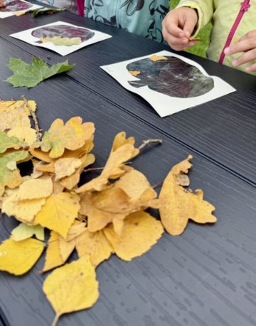 whatsapp image 2025-09-22 at 17.39.36 (5).jpeg