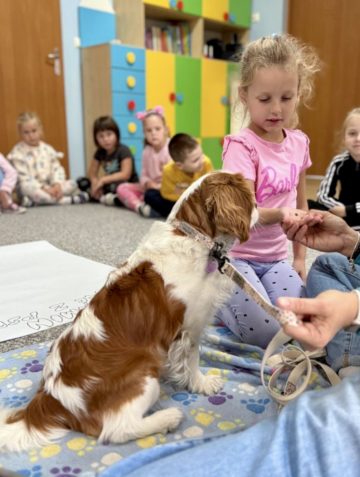 whatsapp image 2025-10-08 at 16.46.37.jpeg