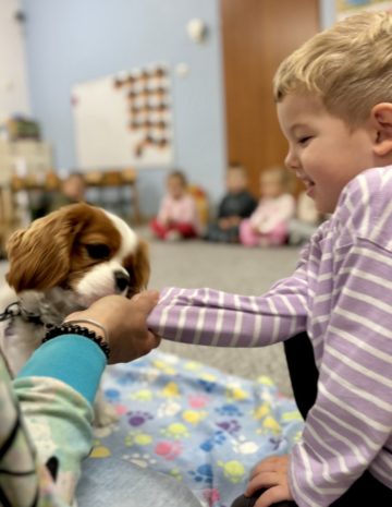 whatsapp image 2025-10-08 at 20.05.09 (3).jpeg