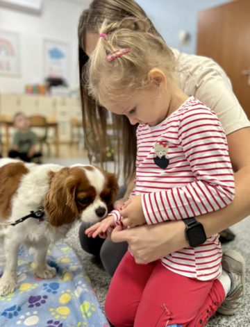 whatsapp image 2025-10-08 at 20.05.10 (1).jpeg