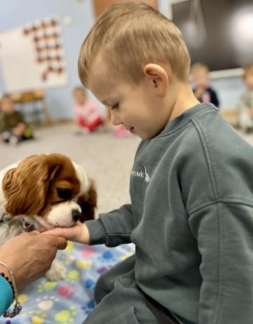 whatsapp image 2025-10-08 at 20.05.10 (3).jpeg