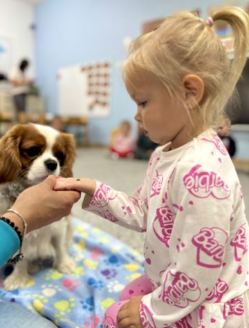 whatsapp image 2025-10-08 at 20.05.10.jpeg