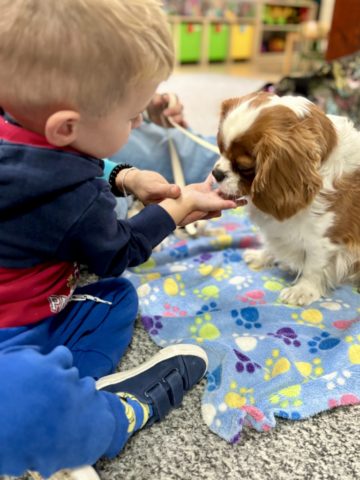 whatsapp image 2025-10-08 at 20.05.11.jpeg