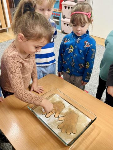 whatsapp image 2025-10-15 at 15.31.17 (3).jpeg