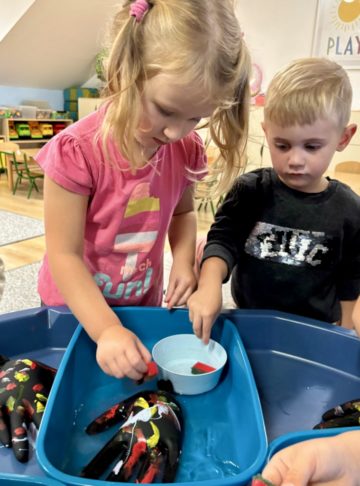 whatsapp image 2025-10-15 at 21.23.59.jpeg