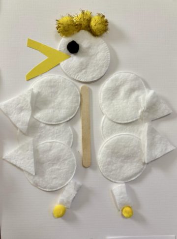 whatsapp image 2025-11-08 at 01.36.29 (22).jpeg