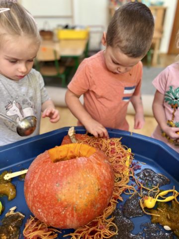 whatsapp image 2025-11-01 at 02.16.31.jpeg