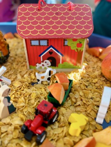 whatsapp image 2025-11-01 at 02.16.32.jpeg