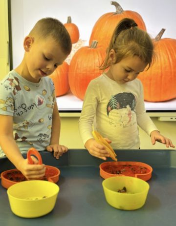 whatsapp image 2025-11-01 at 07.02.16 (1).jpeg