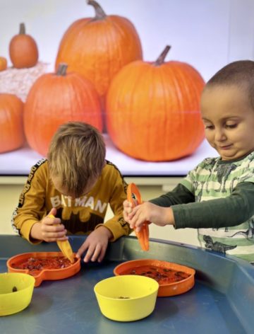 whatsapp image 2025-11-01 at 07.02.18.jpeg