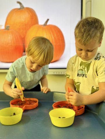 whatsapp image 2025-11-01 at 07.02.19 (2).jpeg