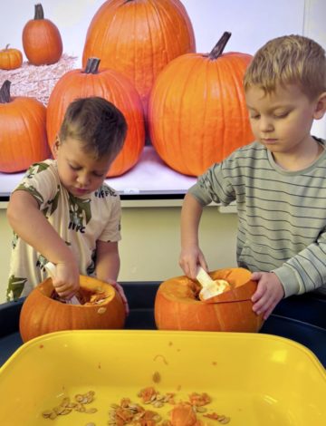 whatsapp image 2025-11-01 at 07.02.25 (1).jpeg