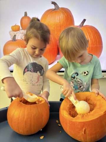 whatsapp image 2025-11-01 at 07.02.26 (4).jpeg