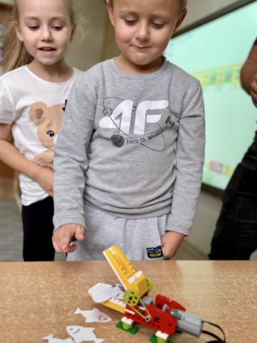 whatsapp image 2025-10-24 at 20.50.28.jpeg