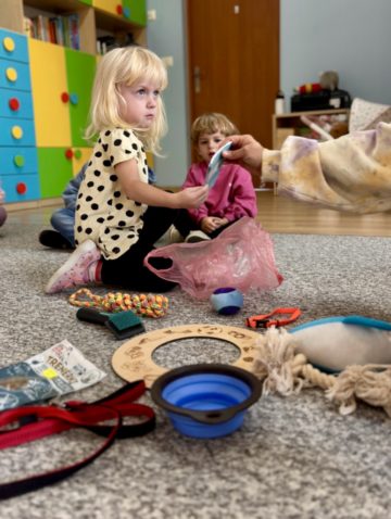 whatsapp image 2025-11-12 at 12.00.02 (2).jpeg