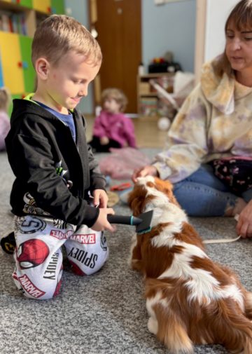 whatsapp image 2025-11-12 at 12.00.02.jpeg