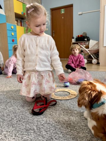 whatsapp image 2025-11-12 at 12.00.04.jpeg