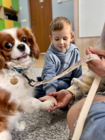 whatsapp image 2025-11-12 at 12.00.06 (1).jpeg