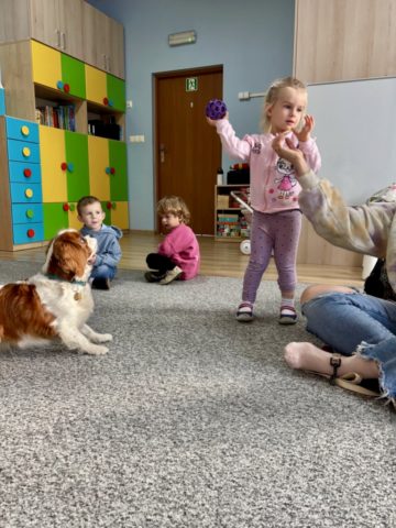 whatsapp image 2025-11-12 at 12.00.06 (2).jpeg