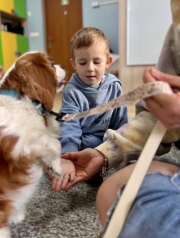 whatsapp image 2025-11-12 at 12.00.06.jpeg