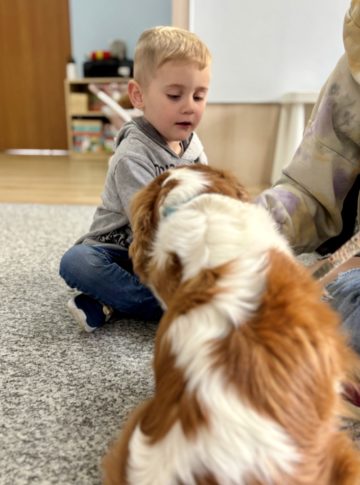 whatsapp image 2025-11-12 at 12.00.07 (2).jpeg