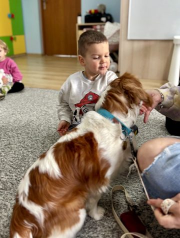 whatsapp image 2025-11-12 at 12.00.07.jpeg