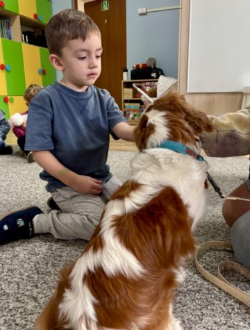 whatsapp image 2025-11-12 at 12.00.08 (1).jpeg