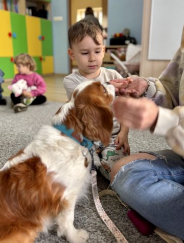 whatsapp image 2025-11-12 at 12.00.08 (2).jpeg