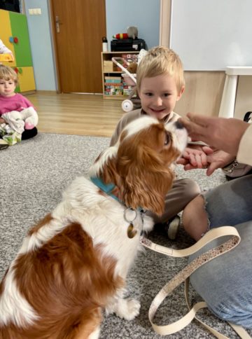 whatsapp image 2025-11-12 at 12.00.09.jpeg