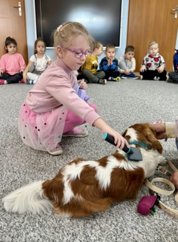 whatsapp image 2025-11-12 at 15.03.04 (1).jpeg