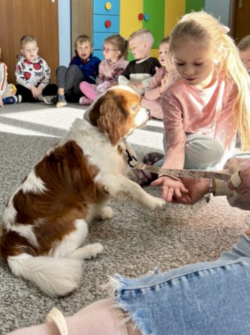 whatsapp image 2025-11-12 at 15.03.14 (2).jpeg