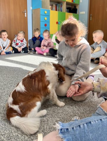 whatsapp image 2025-11-12 at 15.03.14.jpeg