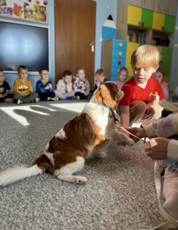 whatsapp image 2025-11-12 at 15.03.15 (2).jpeg