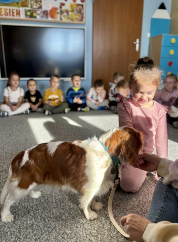 whatsapp image 2025-11-12 at 15.03.15 (3).jpeg