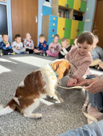 whatsapp image 2025-11-12 at 15.03.16.jpeg