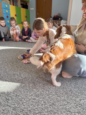 whatsapp image 2025-11-12 at 15.30.28 (2).jpeg