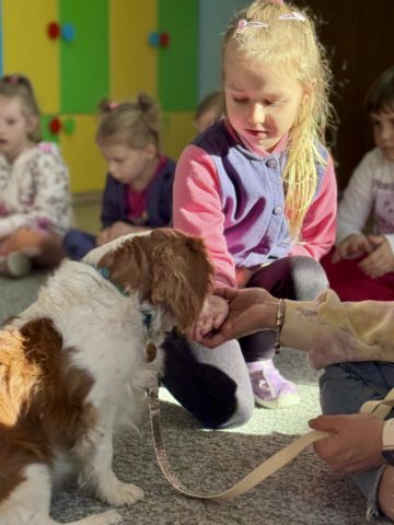 whatsapp image 2025-11-12 at 15.30.31.jpeg