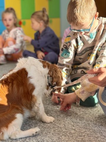 whatsapp image 2025-11-12 at 15.30.32 (2).jpeg