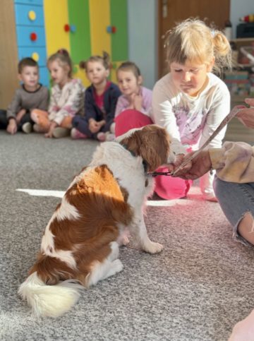 whatsapp image 2025-11-12 at 15.30.36 (2).jpeg