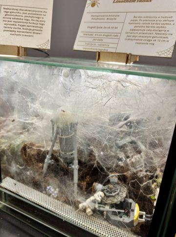 whatsapp image 2025-11-18 at 14.49.07 (1).jpeg