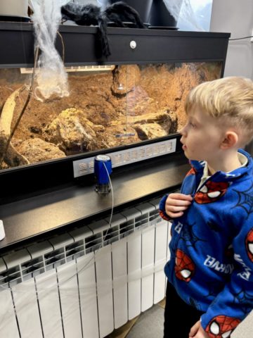 whatsapp image 2025-11-18 at 14.49.10.jpeg