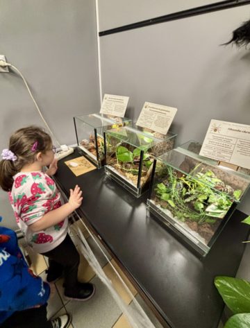 whatsapp image 2025-11-18 at 14.49.11.jpeg