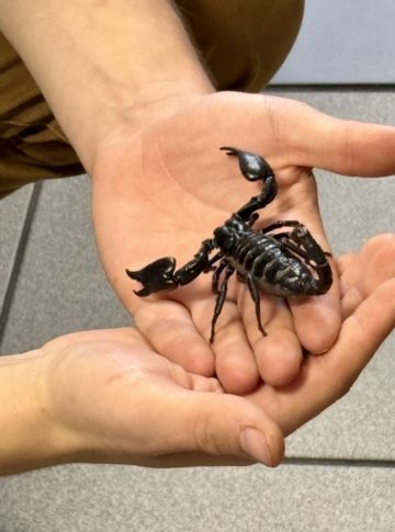 whatsapp image 2025-11-18 at 14.49.12 (1).jpeg