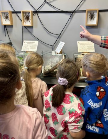 whatsapp image 2025-11-18 at 14.49.12 (3).jpeg