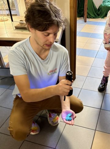 whatsapp image 2025-11-18 at 14.49.12.jpeg