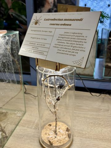 whatsapp image 2025-11-18 at 14.49.13 (2).jpeg