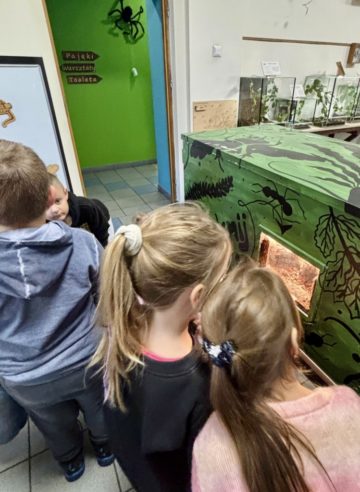 whatsapp image 2025-11-18 at 14.49.14 (1).jpeg